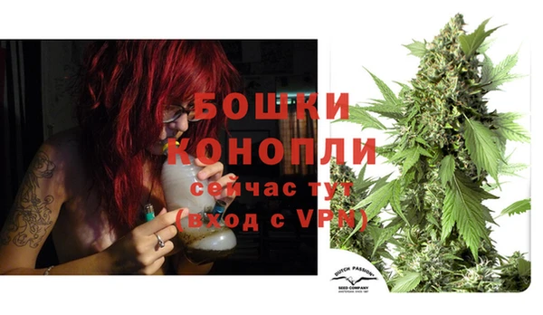 PSILOCYBIN Корсаков
