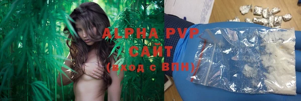 PSILOCYBIN Корсаков